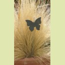 Ardoise "papillon"